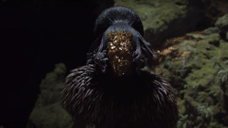 Jonathan Glazer directed bizarre new ident bumpers for Britain’s Channel 4